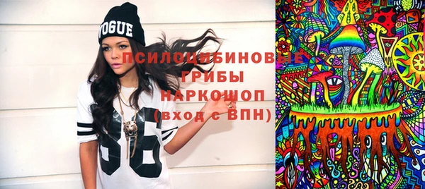 ECSTASY Няндома