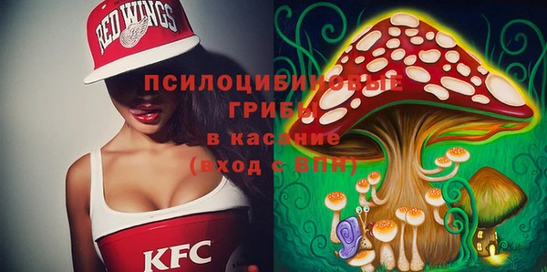 ECSTASY Няндома