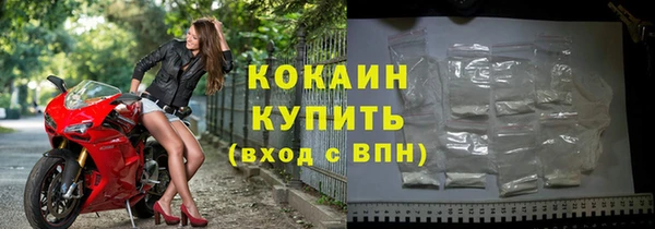 мет Новозыбков