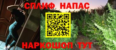 PSILOCYBIN Можайск