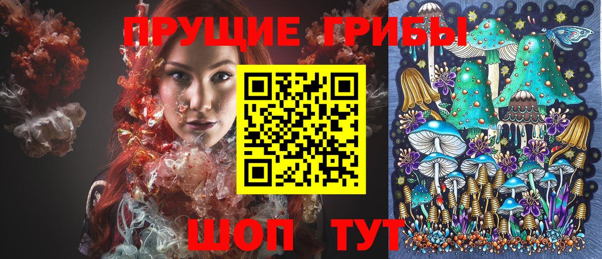 Галлюциногенные грибы MAGIC MUSHROOMS  Псилоцибиновые грибы Psilocybe  Пятигорск  Вход с VPN 